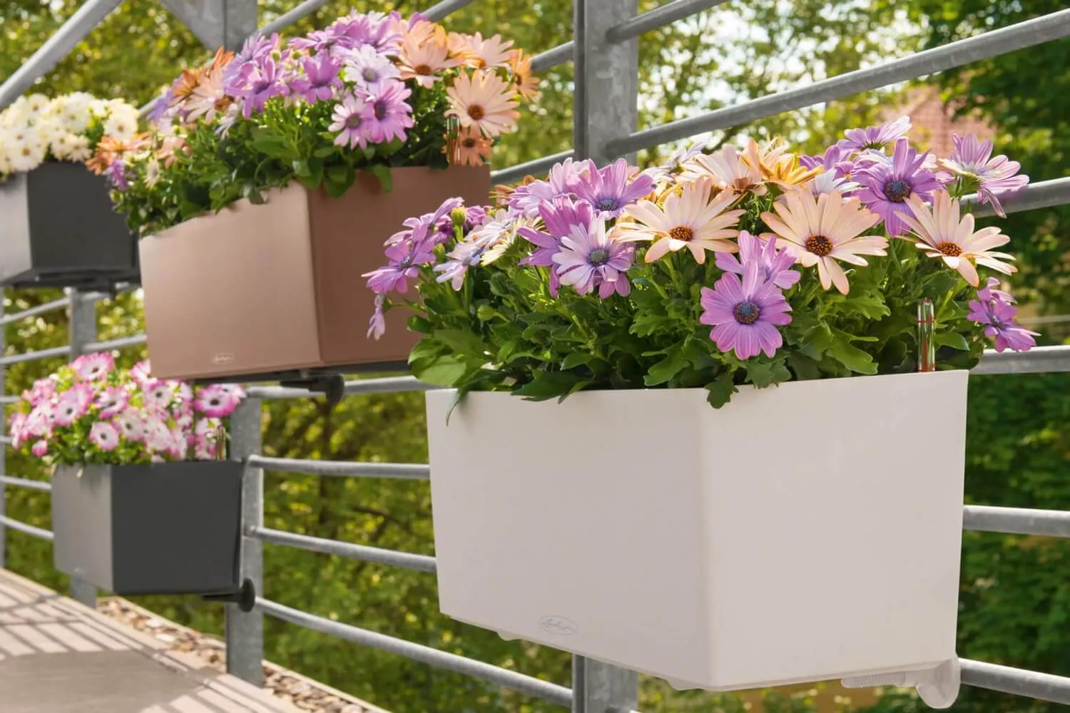 Balconybox with self watering system from Lechuza 80 cm