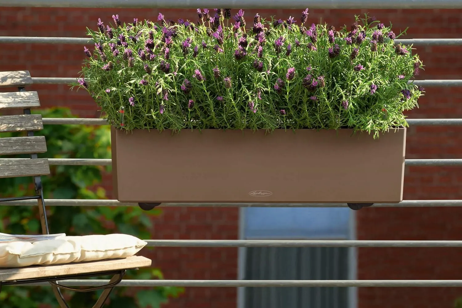 Balconybox with self watering system from Lechuza 80 cm