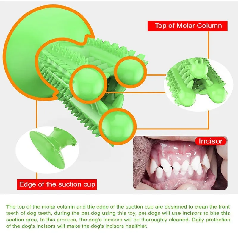 Dog Toothbrush Interactive Toy Training