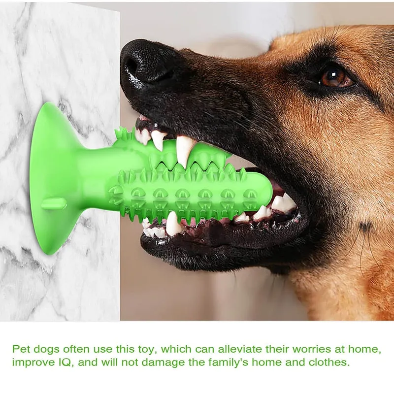 Dog Toothbrush Interactive Toy Training