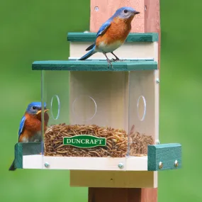 Duncraft Clearview Bluebird Feeder