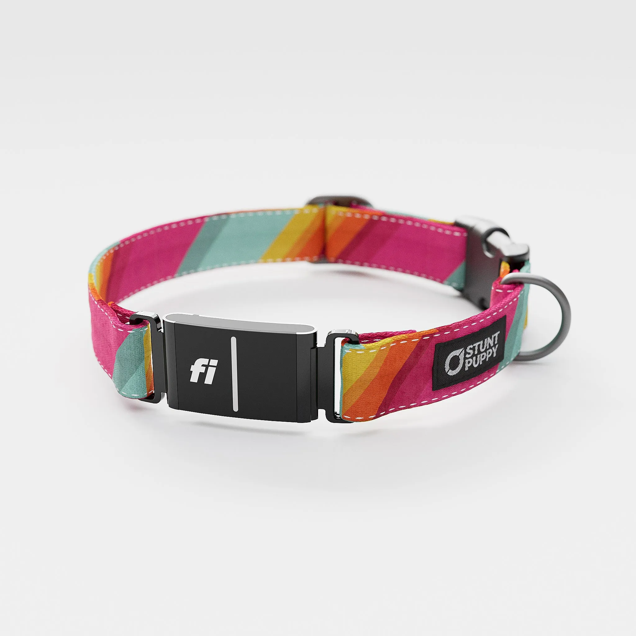 Fi GPS Included All Are Welcome Here Everyday Collar (6 month subscription)