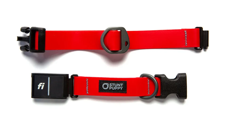 Fi-Ready Dry Collar™ (Fi Series 3)