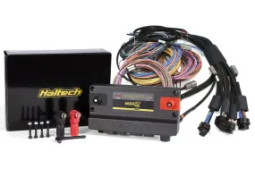 Haltech HT-195201 NEXUS R5   Universal Wire-in Harness Kit - 5M / 16' Length: 5m (16')