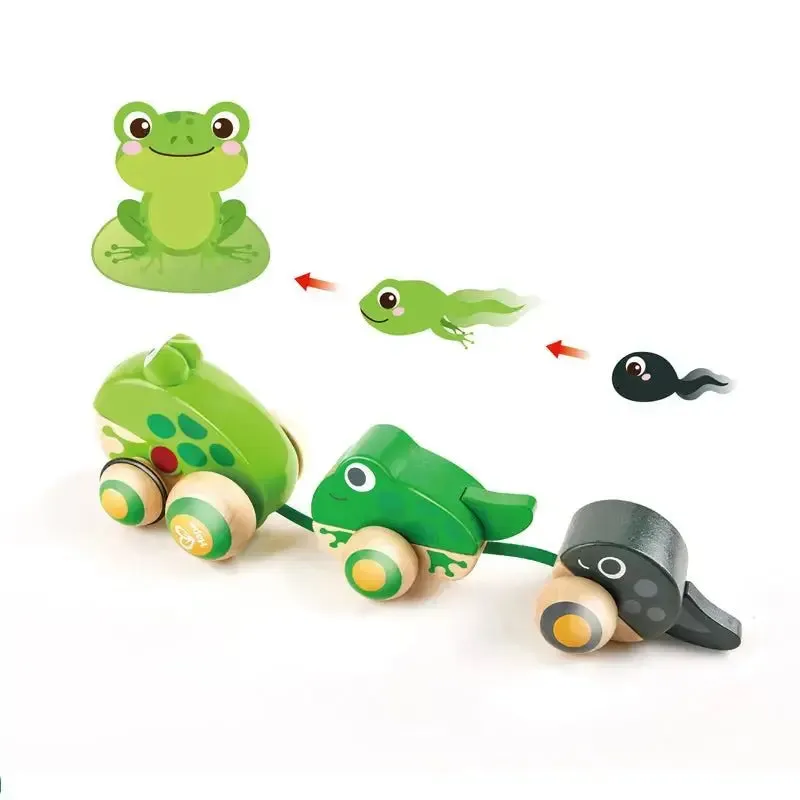 Hape Pull-Along Frog Family