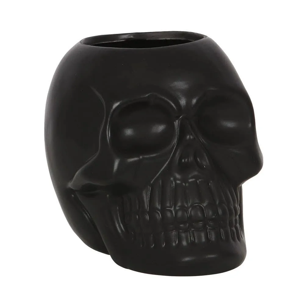 Skull Hold-All Container